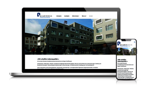 Dr. Kurt Peyer AG, Schaffhausen