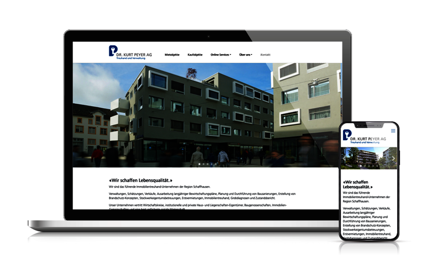 Dr. Kurt Peyer AG, Schaffhausen